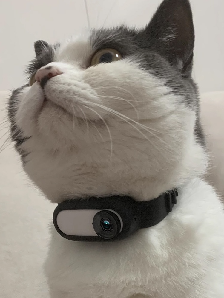 Wireless dog collar camera, view 8